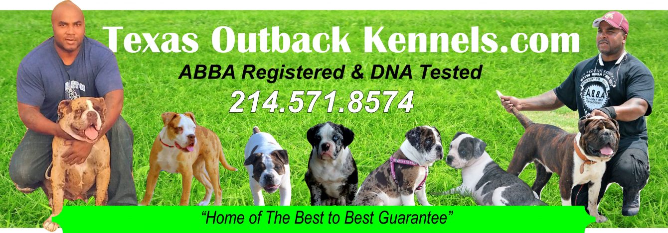 Texas Outback Kennels